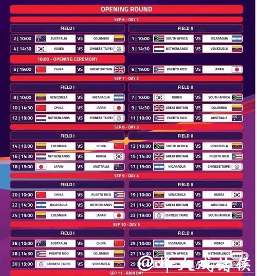 世界杯投注平台选择建议，助你走向胜利之路